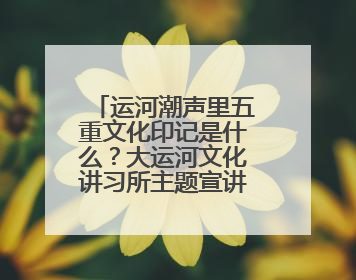 运河潮声里五重文化印记是什么？大运河文化讲习所主题宣讲为市民揭秘