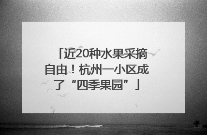 近20种水果采摘自由！杭州一小区成了“四季果园”
