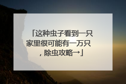 这种虫子看到一只家里很可能有一万只，除虫攻略→