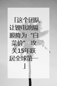 这个团队让锂电池隔膜降为“白菜价” 攻关15年跃居全球第一