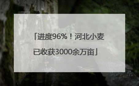 进度96%！河北小麦已收获3000余万亩