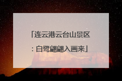 连云港云台山景区：白鹭翩翩入画来