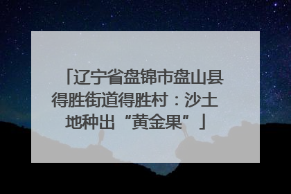 辽宁省盘锦市盘山县得胜街道得胜村：沙土地种出“黄金果”
