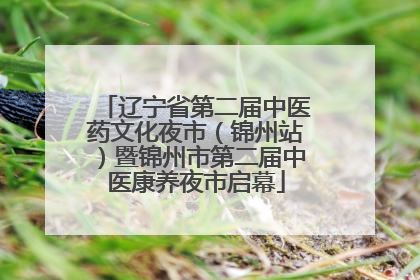 辽宁省第二届中医药文化夜市（锦州站）暨锦州市第二届中医康养夜市启幕