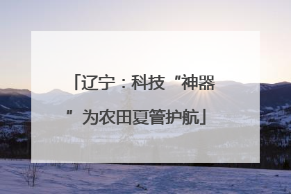 辽宁：科技“神器”为农田夏管护航