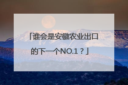 谁会是安徽农业出口的下一个NO.1？