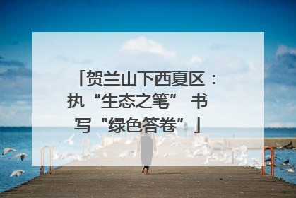 贺兰山下西夏区：执“生态之笔” 书写“绿色答卷”