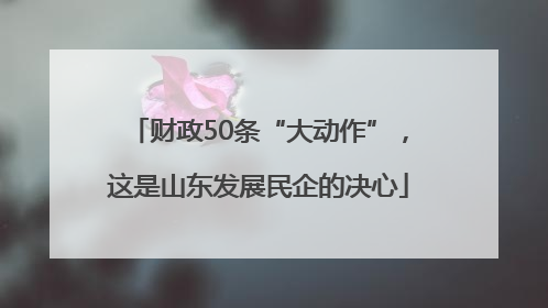 财政50条“大动作”，这是山东发展民企的决心