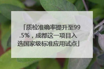 质检准确率提升至99.5%，成都这一项目入选国家级标准应用试点