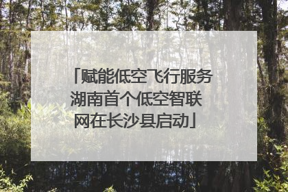 赋能低空飞行服务 湖南首个低空智联网在长沙县启动