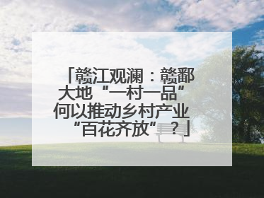 赣江观澜：赣鄱大地“一村一品”何以推动乡村产业“百花齐放”？