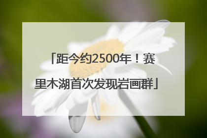 距今约2500年！赛里木湖首次发现岩画群