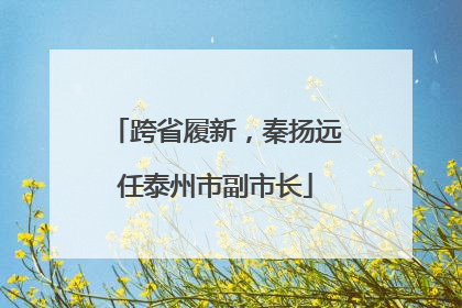 跨省履新，秦扬远任泰州市副市长