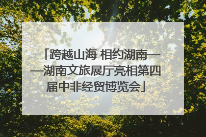 跨越山海 相约湖南——湖南文旅展厅亮相第四届中非经贸博览会