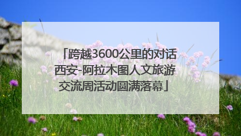 跨越3600公里的对话 西安-阿拉木图人文旅游交流周活动圆满落幕