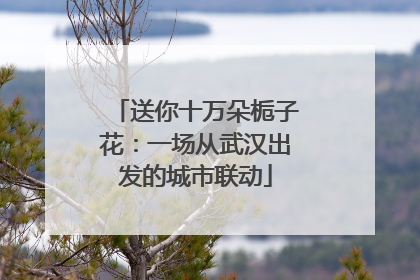 送你十万朵栀子花：一场从武汉出发的城市联动