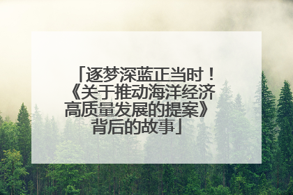 逐梦深蓝正当时！《关于推动海洋经济高质量发展的提案》背后的故事