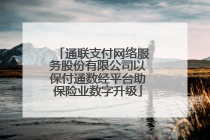 通联支付网络服务股份有限公司以保付通数经平台助保险业数字升级