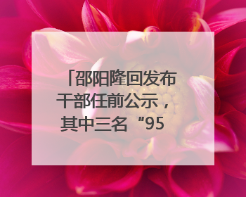 邵阳隆回发布干部任前公示，其中三名“95后”干部拟任副科级领导，均系硕士选调生