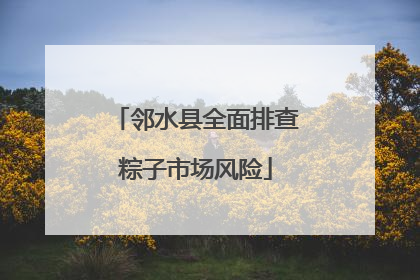 邻水县全面排查粽子市场风险