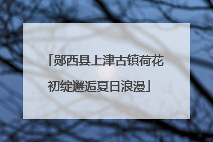 郧西县上津古镇荷花初绽邂逅夏日浪漫