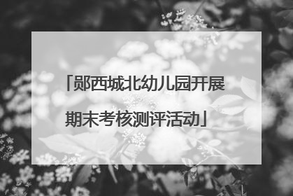 郧西城北幼儿园开展期末考核测评活动
