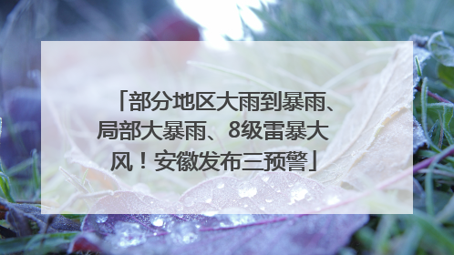部分地区大雨到暴雨、局部大暴雨、8级雷暴大风！安徽发布三预警