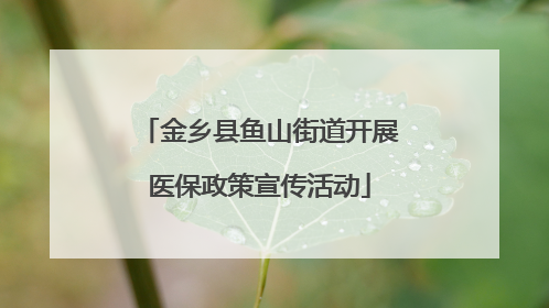 金乡县鱼山街道开展医保政策宣传活动