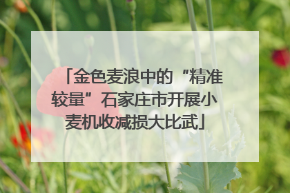 金色麦浪中的“精准较量”石家庄市开展小麦机收减损大比武
