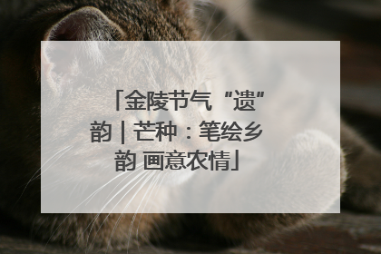 金陵节气“遗”韵｜芒种：笔绘乡韵 画意农情