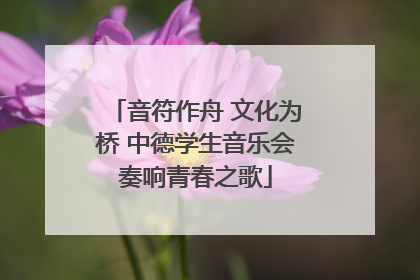 音符作舟 文化为桥 中德学生音乐会奏响青春之歌
