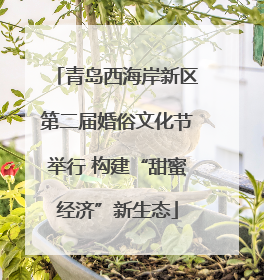 青岛西海岸新区第二届婚俗文化节举行 构建“甜蜜经济”新生态