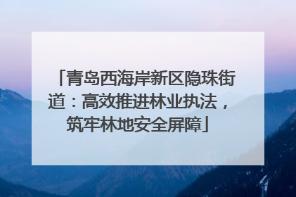 青岛西海岸新区隐珠街道：高效推进林业执法，筑牢林地安全屏障