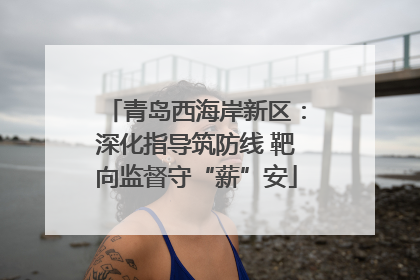 青岛西海岸新区：深化指导筑防线 靶向监督守“薪”安