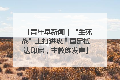 青年早新闻｜“生死战”主打进攻！国足抵达印尼，主教练发声