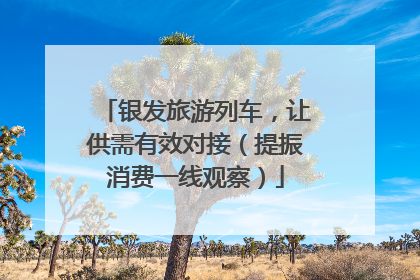 银发旅游列车，让供需有效对接（提振消费一线观察）