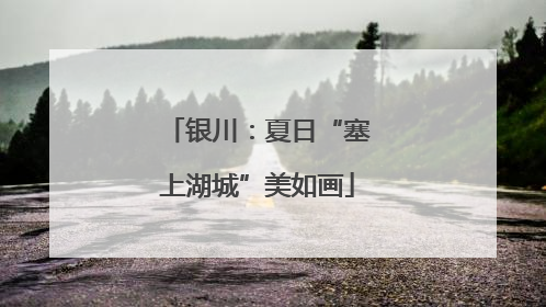 银川：夏日“塞上湖城”美如画