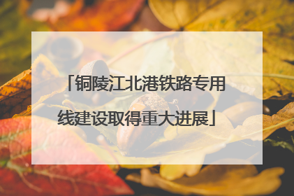 铜陵江北港铁路专用线建设取得重大进展