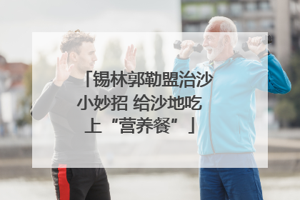 锡林郭勒盟治沙小妙招 给沙地吃上“营养餐”