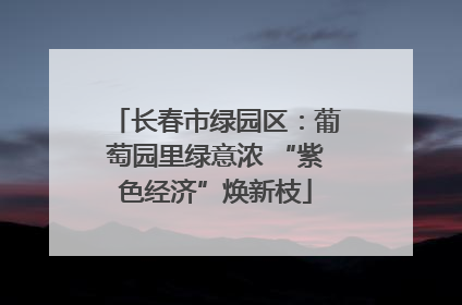 长春市绿园区：葡萄园里绿意浓 “紫色经济”焕新枝