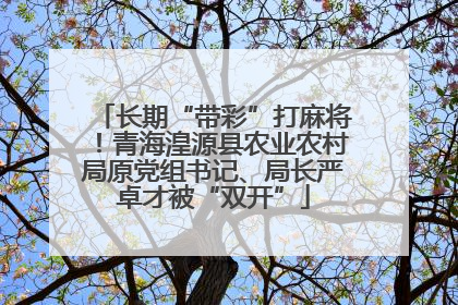 长期“带彩”打麻将！青海湟源县农业农村局原党组书记、局长严卓才被“双开”