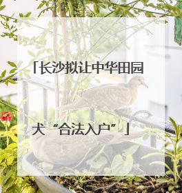 长沙拟让中华田园犬“合法入户”