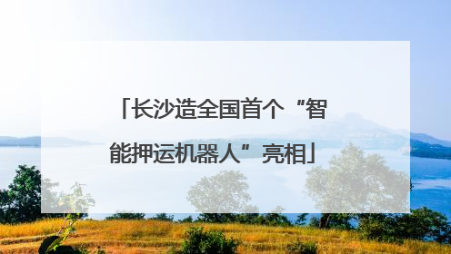 长沙造全国首个“智能押运机器人”亮相