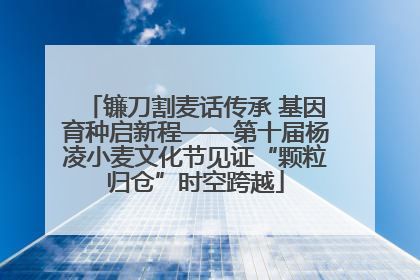 镰刀割麦话传承 基因育种启新程——第十届杨凌小麦文化节见证“颗粒归仓”时空跨越