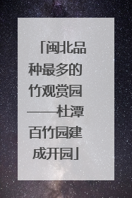 闽北品种最多的竹观赏园——杜潭百竹园建成开园