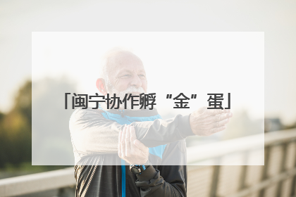 闽宁协作孵“金”蛋