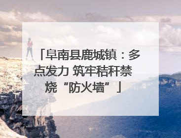 阜南县鹿城镇：多点发力 筑牢秸秆禁烧“防火墙”