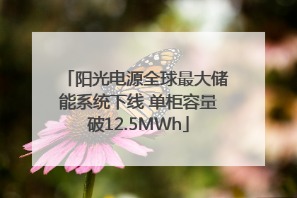 阳光电源全球最大储能系统下线 单柜容量破12.5MWh