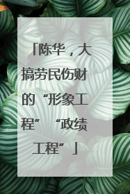 陈华，大搞劳民伤财的“形象工程”“政绩工程”