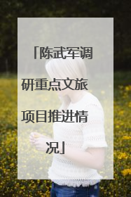 陈武军调研重点文旅项目推进情况